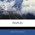 Cover Art for 9781142920036, Naples by Sybil Fitzgerald