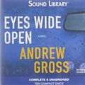 Cover Art for 9780792778059, Eyes Wide Open by Andrew Gross