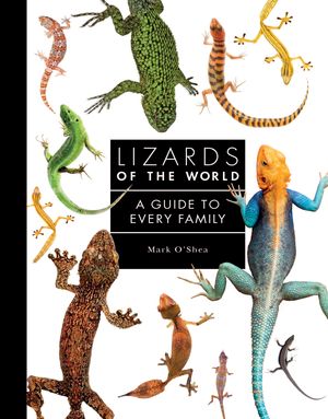 Cover Art for 9781782409571, Lizards of the World: A Guide to Every Family by Mark O'Shea