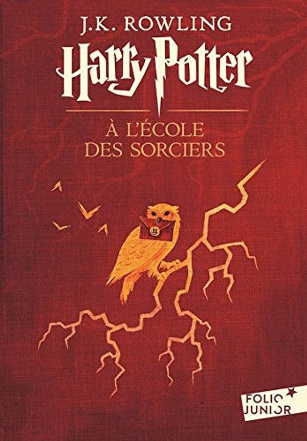 Harry Potter, VII : Harry Potter et les Reliques de la Mort - grand format  [ Harry Potter and the Deathly Hallows ] large format (French Edition) (Harry  Potter, 7) - J. K.