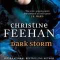 Cover Art for B008FQ1QOK, Dark Storm: Number 23 in series (Dark Series) by Christine Feehan