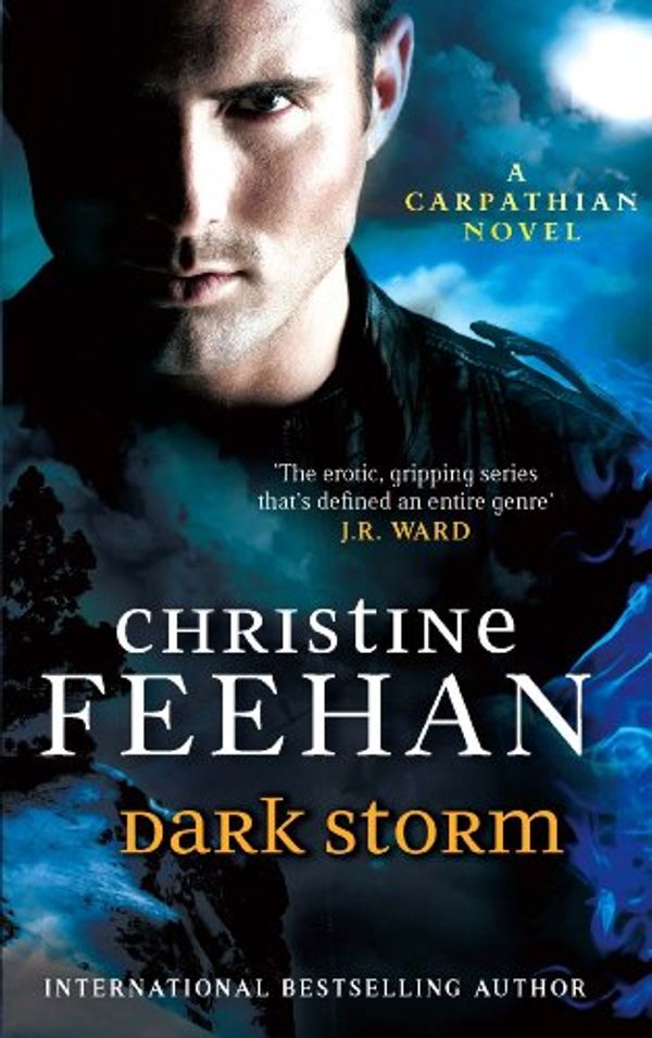 Cover Art for B008FQ1QOK, Dark Storm: Number 23 in series (Dark Series) by Christine Feehan