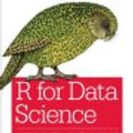 Cover Art for 9781491910368, R for Data Science by Hadley Wickham, Garrett Grolemund