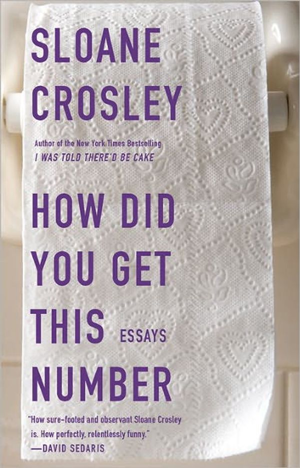 Cover Art for 9781101188286, How Did You Get This Number by Sloane Crosley