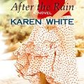 Cover Art for 9781611736229, After the Rain by Karen White