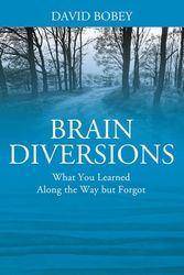 Cover Art for 9781977255402, Brain Diversions by David Bobey