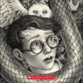 Cover Art for 9780606415200, Harry Potter and the Sorcerer's Stone (Brian Selznick Cover Edition) by J K. Rowling