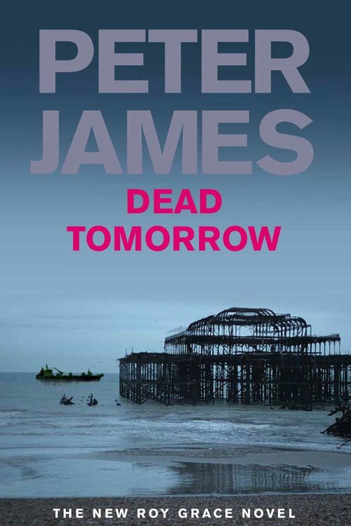 Cover Art for 9780330456777, Dead Tomorrow by Peter James