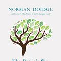 Cover Art for 9781846144240, IMPOSSIBLE CURES by Norman Doidge