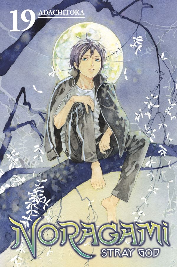 Cover Art for 9781632364395, Noragami: Stray God 19 by Adachitoka