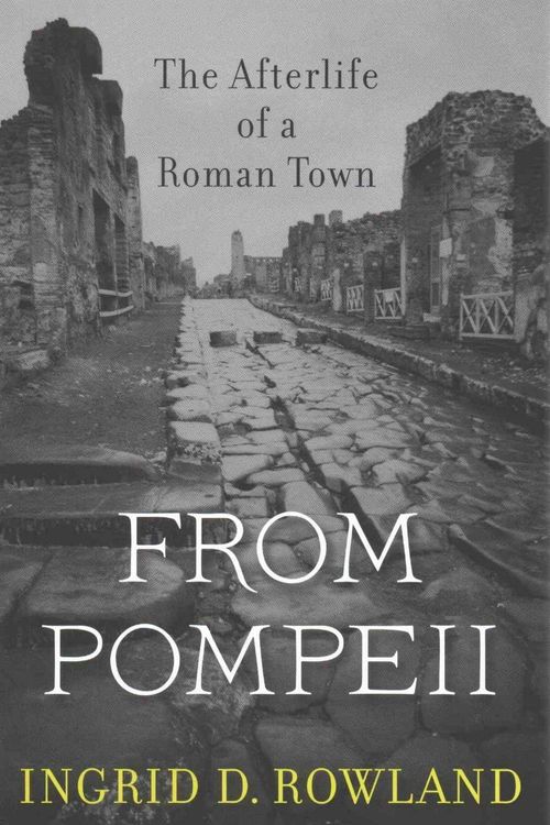 Cover Art for 9780674088092, From Pompeii: The Afterlife of a Roman Town by Ingrid D. Rowland