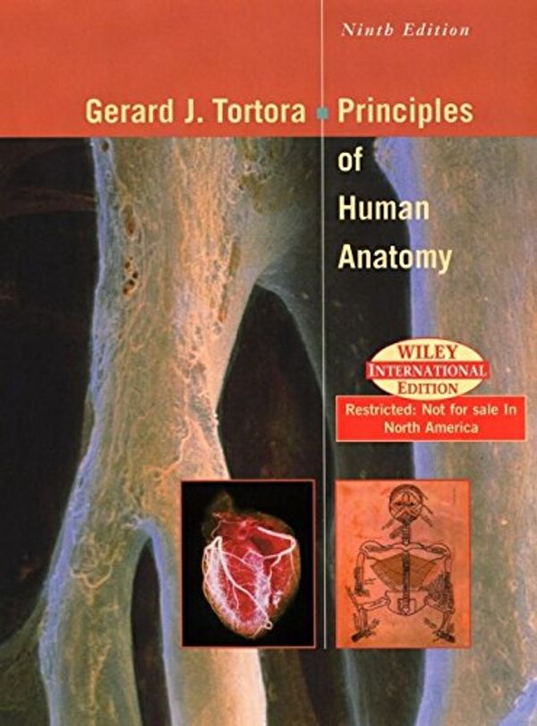 Cover Art for 9780471392385, Principles of Human Anatomy by Gerard J. Tortora