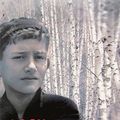 Cover Art for 9781844089970, A Boy in Winter by Rachel Seiffert