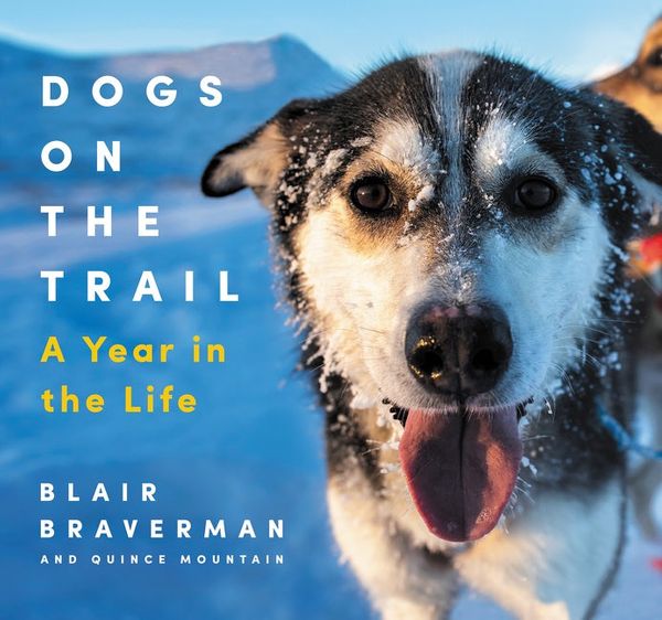Cover Art for 9780063066267, Dogs on the Trail: A Year in the Life by Blair Braverman, Quince Mountain