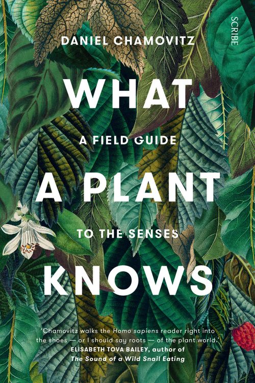 Cover Art for 9781925322095, What a Plant Knowsa Field Guide to the Senses by Daniel Chamovitz