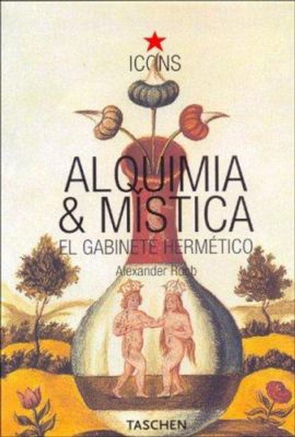 Cover Art for 9783822838617, Alquimia y Mistica by Alexander Roob