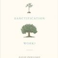 Cover Art for 9781433556104, How Does Sanctification Work? by David Powlison