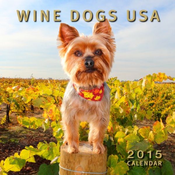 Cover Art for 9781921336447, Wine Dogs USA 2015 Calendar by Craig McGill & Susan Elliott