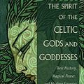 Cover Art for B07XJ8QR76, The Spirit of the Celtic Gods and Goddesses: Their History, Magical Power, and Healing Energies by Carl McColman, Kathryn Hinds