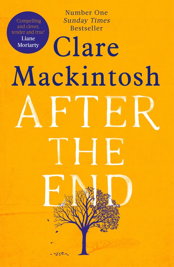 Cover Art for 9780751564921, After the End: The most moving book you'll read in 2019 by Clare Mackintosh