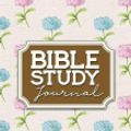 Cover Art for 9781717108395, Bible Study Journal by Rogue Plus Publishing