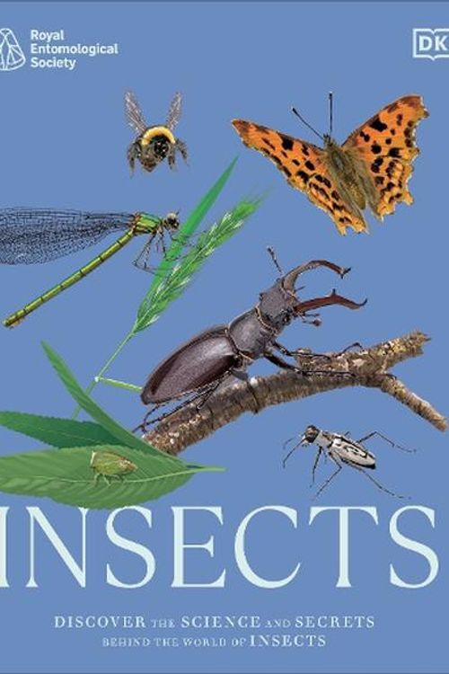 Cover Art for 9780241685921, RES Insects: Discover the Science and Secrets Behind the World of Insects by DK