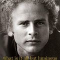 Cover Art for B01N2ZP8KG, What Is It All but Luminous: Notes from an Underground Man by Art Garfunkel