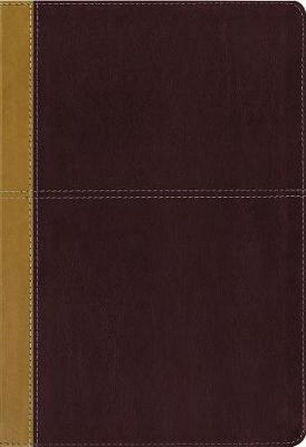 Cover Art for 9780310446705, KJV, Amplified, Parallel Bible, Large Print, Leathersoft, Tan/Burgundy, Red Letter Edition: Two Bible Versions Together for Study and Comparison by Zondervan