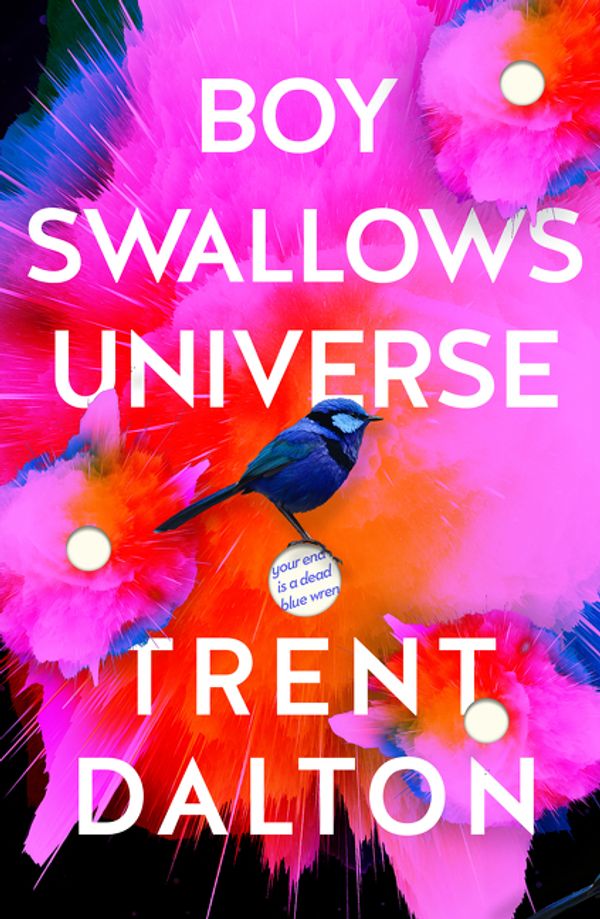 Cover Art for 9781460708415, Boy Swallows Universe TV Tie In by Trent Dalton