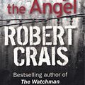 Cover Art for 9781407226699, Stalking the Angel by Robert Crais