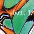 Cover Art for 9780756667290, Butterfly by Thomas Marent