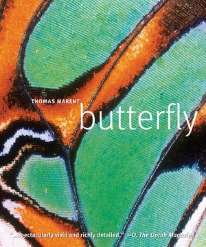 Cover Art for 9780756667290, Butterfly by Thomas Marent