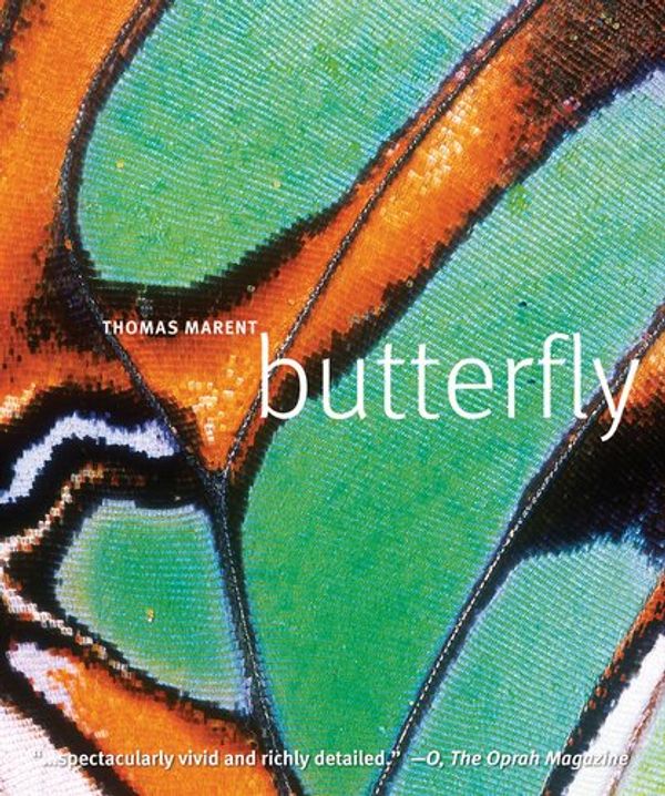 Cover Art for 9780756667290, Butterfly by Thomas Marent