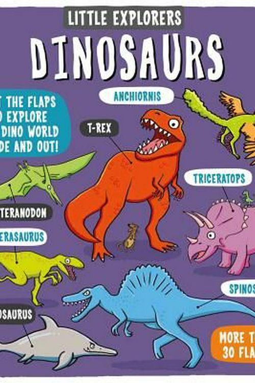 Cover Art for 9781499804904, Little ExplorersDinosaurs by Little Bee Books