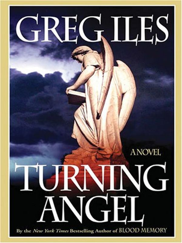 Cover Art for 9781594131707, Turning Angel by Greg Iles