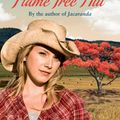 Cover Art for 9781742536156, Flame Tree Hill by Mandy Magro