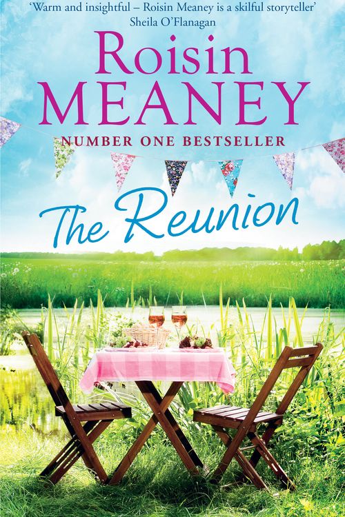 Cover Art for 9781444799729, The Reunion by Roisin Meaney