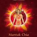 Cover Art for 9781594771392, The Alchemy of Sexual Energy: Connecting to the Universe from Within by Mantak Chia