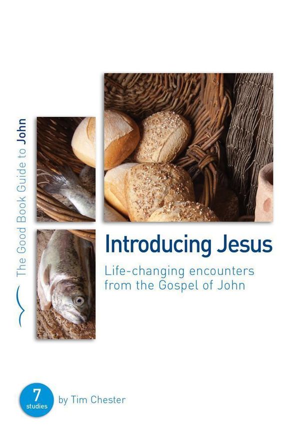 Cover Art for 9781907377129, Introducing Jesus: Life Changing Encounters from the Gospel of John by Tim Chester