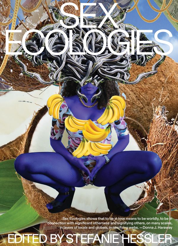 Cover Art for 9780262543590, Sex Ecologies by Stefanie Hessler