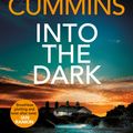 Cover Art for 9781761260872, Into the Dark by Fiona Cummins