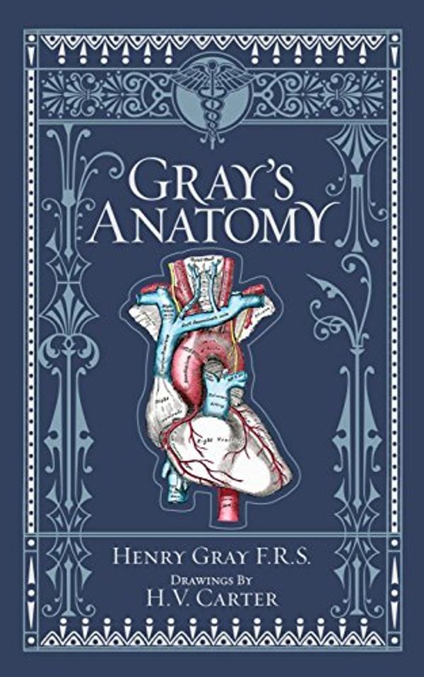 Cover Art for B0160F7PHE, Gray's Anatomy (Leatherbound Classics) (Leatherbound Classic Collection) by F.R.S. Henry Gray (2011) Leather Bound by Henry Gray(1905-07-02) by Henry Gray