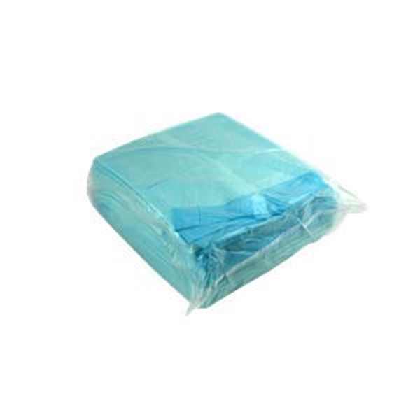 Cover Art for 9316026040601, Livingstone Underpad with Super Absorbent Polymers, 5-Ply, 60 x 40cm, Bluey, 200 per Carton by 