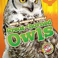 Cover Art for 9781626175389, Great-Horned OwlsNorth American Animals by Christina Leaf