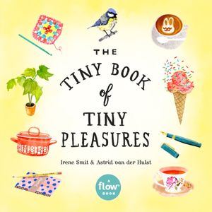 Cover Art for 9780761193760, The Tiny Book of Tiny Pleasures by Irene Smit