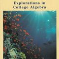 Cover Art for 9780471106982, Explorations in College Algebra by Linda Almgren Kime
