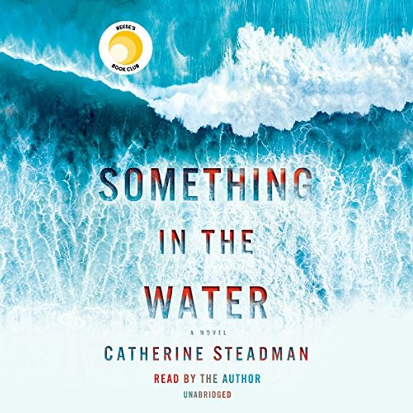 Cover Art for B07CRL9B7T, Something in the Water: A Novel by Catherine Steadman