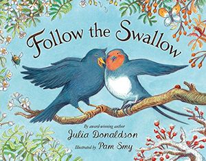 Cover Art for 9781405217880, Follow the Swallow by Julia Donaldson