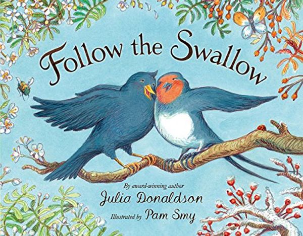 Cover Art for 9781405217880, Follow the Swallow by Julia Donaldson