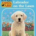 Cover Art for 9781417738274, Labrador on the Lawn by Lucy Daniels